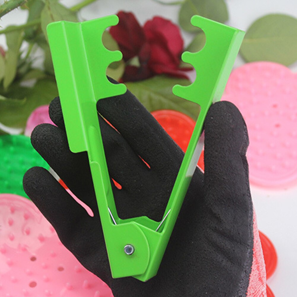 Outil de décapage pour Arrangement de fleurs de Rose | Décapant de feuille d'épines de maison et de jardin, outil de plantation
