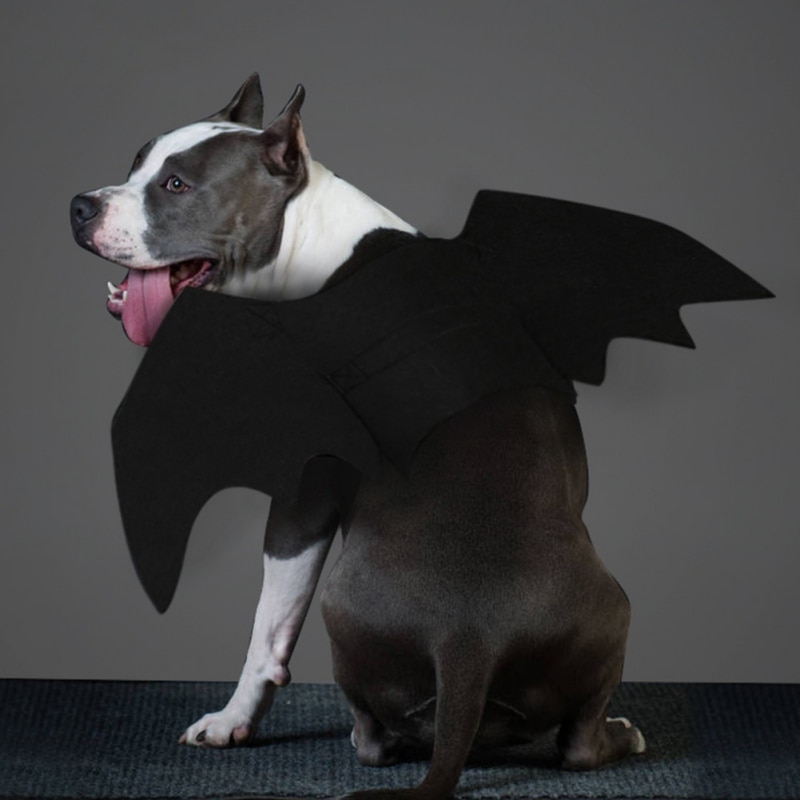 Costume Cosplay ailes de chauve-souris pour chat | Tissu feutré pour animaux domestiques, déguisement chiens chats de jeu, accessoires d'animaux mignons, vêtements d'halloween