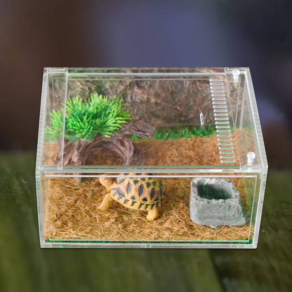 Acryl Spider Hagedis Schorpioen Enti 'S Acryl Gemonteerd Reptiel Fokkerij Doos Transparant Insect Ademend Terrarium
