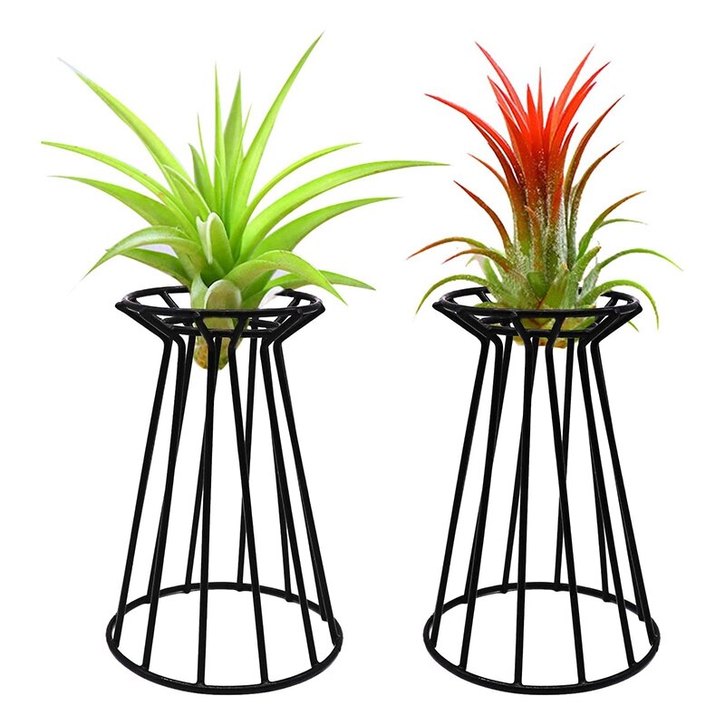 2 Metalen Air Plant Tillandsia Base Houder Tafelblad Streptophylla Air Plant Display Stand Rekken