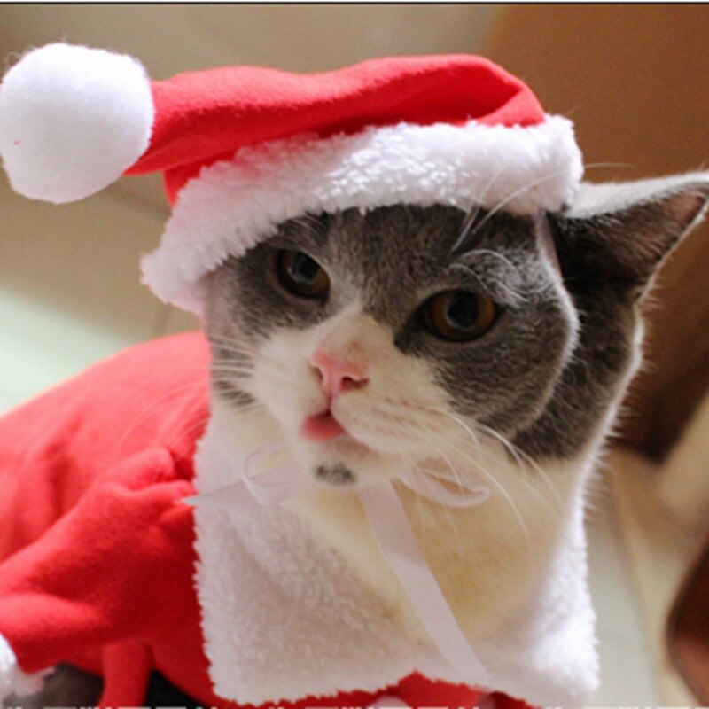 [MPK Gatto Costumi] Babbo natale del costume Del Gatto di!! carino Santa! Rosso Santa animale domestico Gatto Vestiti Vestito, Cappotto Abbigliamento, X-mas costume