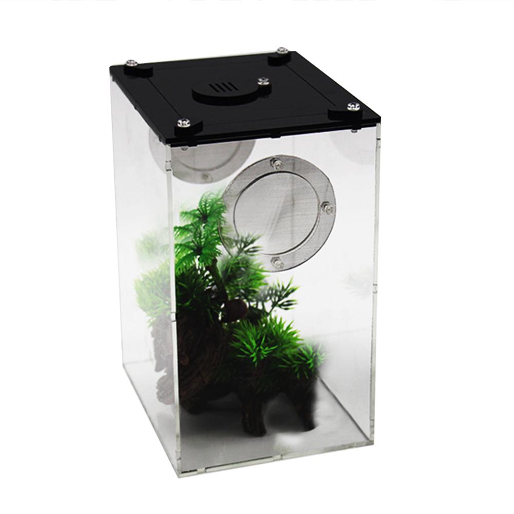 Boîte d'alimentation Reptile acrylique Transparent Panorama insecte nichoir serpent araignée lézard Scorpion boîte d'alimentation