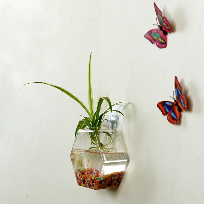 Sekskantet væghængende glas plante blomstervase hydroponisk akvarium boligdekoration sender sømløs nal