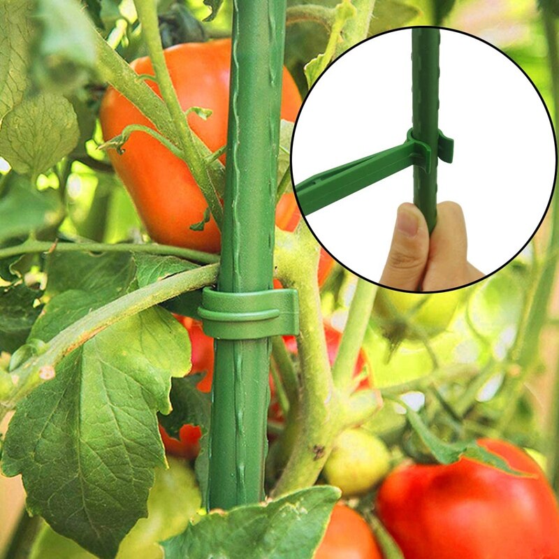 20 braços da estaca dos pces para a gaiola do tomate, haste plástica ajustável da conexão da estaca da planta para todas as estacas da planta do diâmetro de 11mm