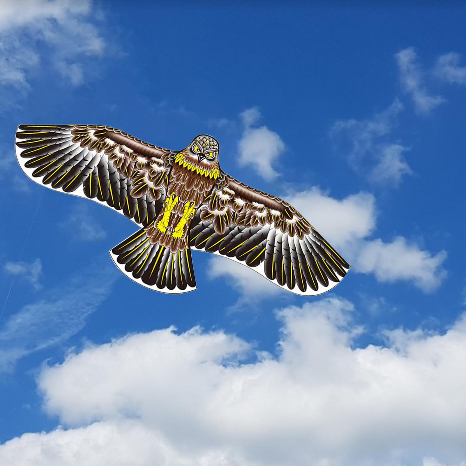 Realistic Eagle Kite Family Outdoor Games for outdoor game activities