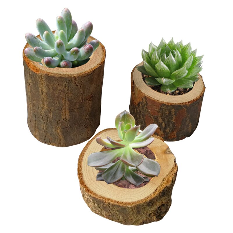 3 Size Hollow Wooden Stake Wooden Crafts Candlestick Small Pot Hollow Wood Stake Planters For Succulents Home Decoration