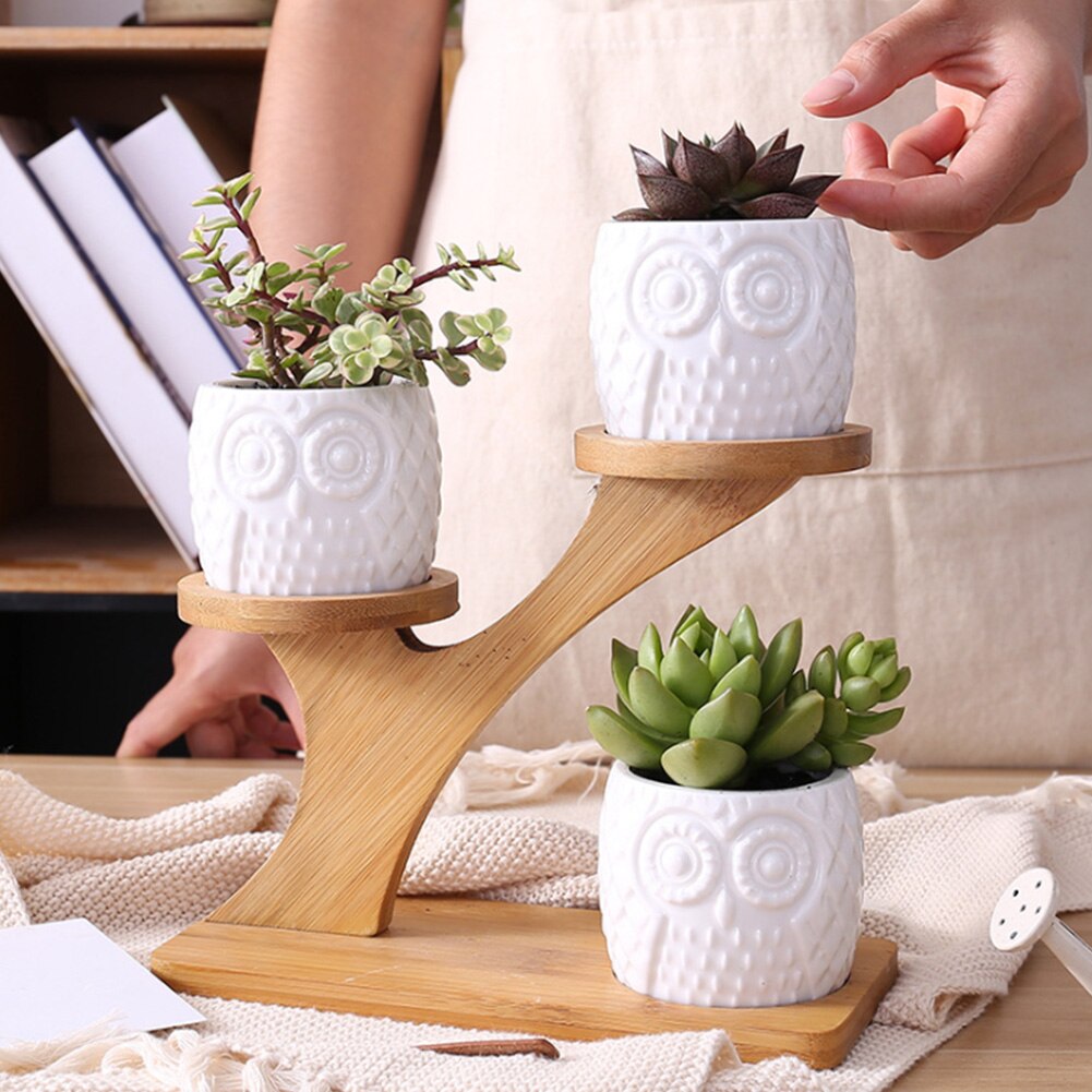3pcs 3 Tier Office Owl Shape Wear Resistant Tidy With Bamboo Holder Indoor Desk Saucers Stand Pot Set Modern Ceramic Garden Home