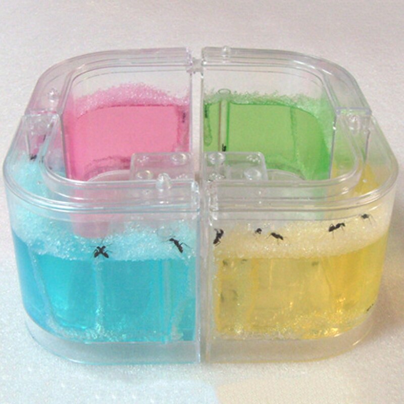 Ant Farm Gel Maze 3D Educational Nursery Live Feeding System Novelty Habitat