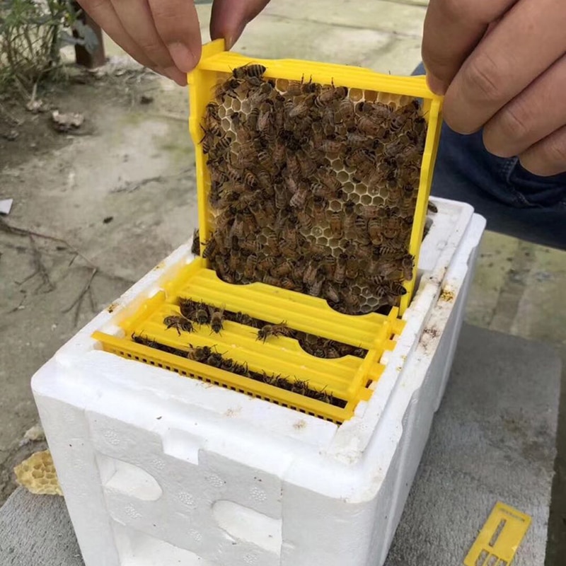 Bi bestøvning kasse biavl tilfælde udstyr hjem bikuber værktøj haven høst
