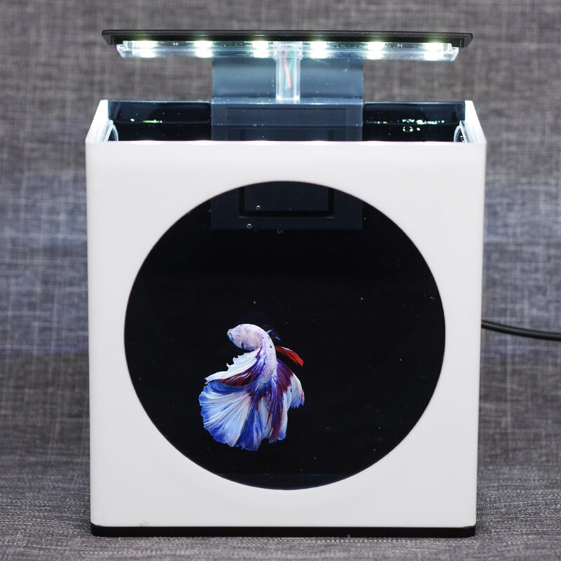 Cute Fighting Fish Tank Simple Display Fish Tank Office Ecological Micro Tank Ornamental Fish Mini Desktop Fish Tank