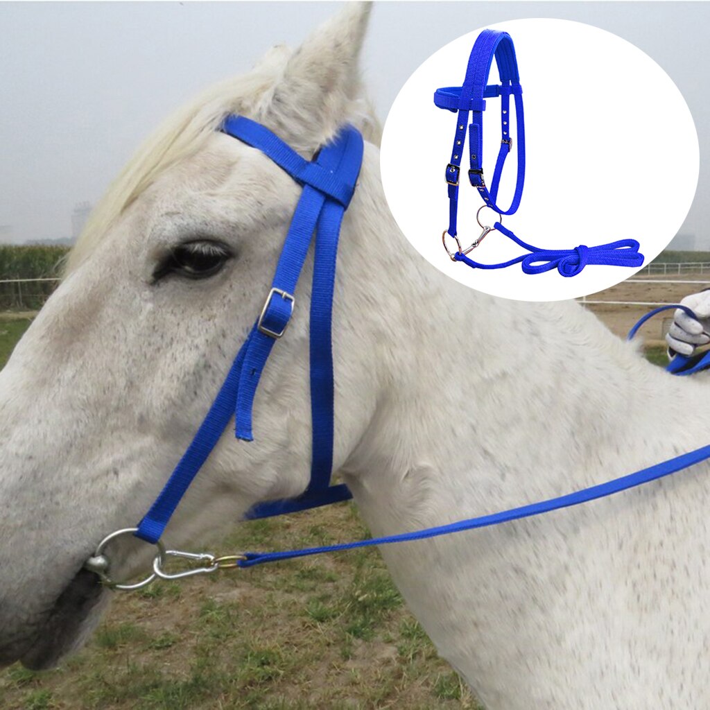 Hållbart hästtyg hästtyglar headstall förtjockat grimma ridutrustning 3 justerbara spännutrustning för häst