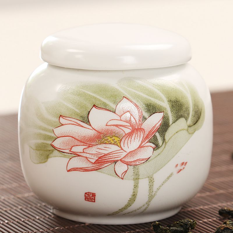 Blauwe En Witte Thee Caddy Keramische Thee Container Kleine Celadon Wit Porselein Verzegelde Thee Opslag Pu'er Draagbare Kung Fu Thee set: 01
