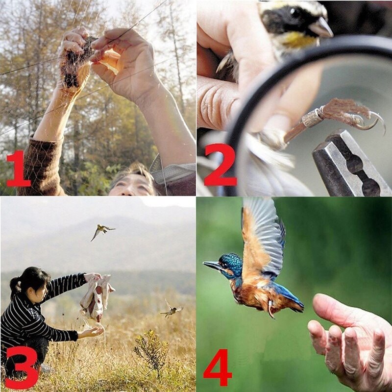 4 Size Protecting Garden Net Netting Bird Hungry Birds Chicken Garden Netting Poultry Aviary Game Pens Mesh Protects Fruit Plant