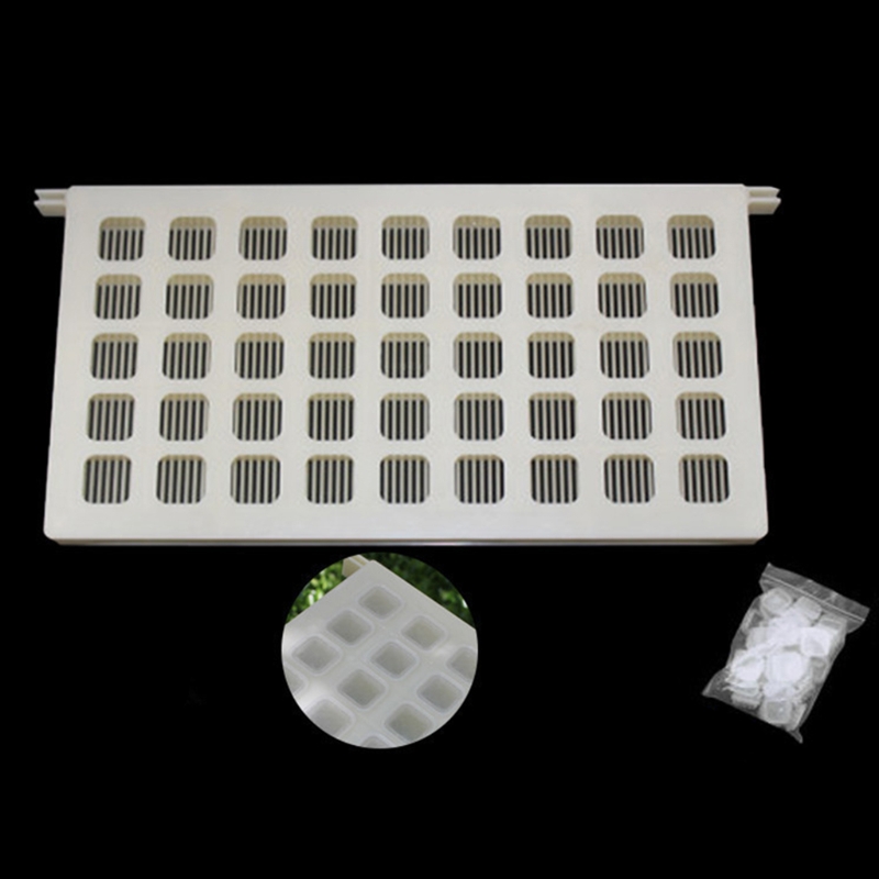 Multifunctional Plastic Queen Bee Storage Device B... – Vicedeal