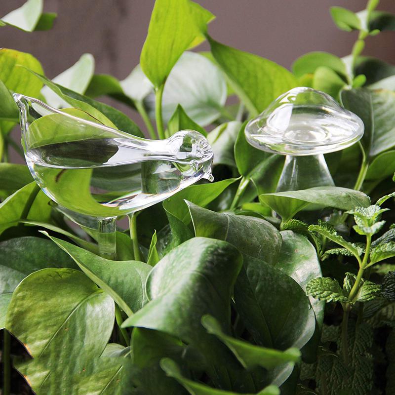Plant Watering Bollen, Vogel/Paddestoel Mondgeblazen Glas Self Watering (Transparant)