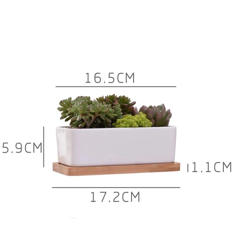 Hvid porcelæn sukkulenter potte grønne planter urtepotte med bambus bakke kontor bordplade planter kortfattet vase boligindretning: M