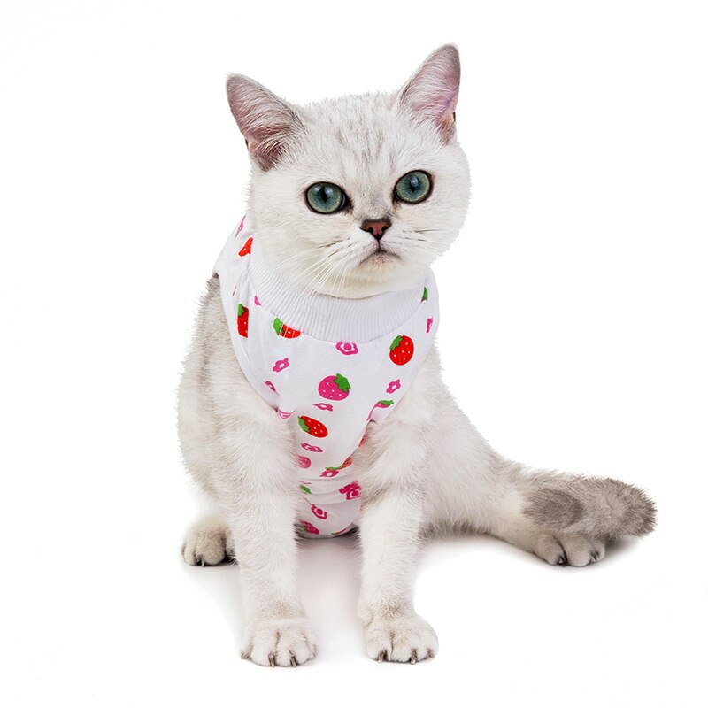 Frühling Sommer Katze Sterilisation Anzug Anti-lecken Chirurgie Nach Erholung Haustier Pflege Kleidung Atmungsaktive Katzen Entwöhnung Anzug