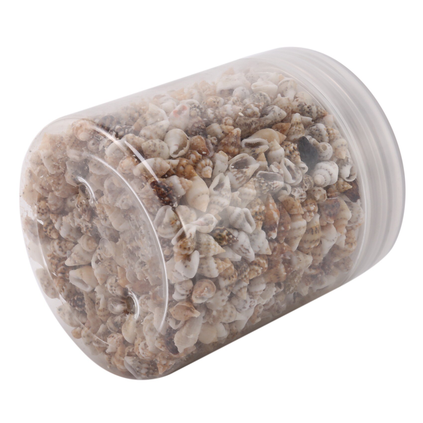 About 1300-1500 Tiny Sea Shell Ocean Beach Spiral Seashells Craft Charms 7-12mm for Candle Making,Home Decoration,Beach Theme