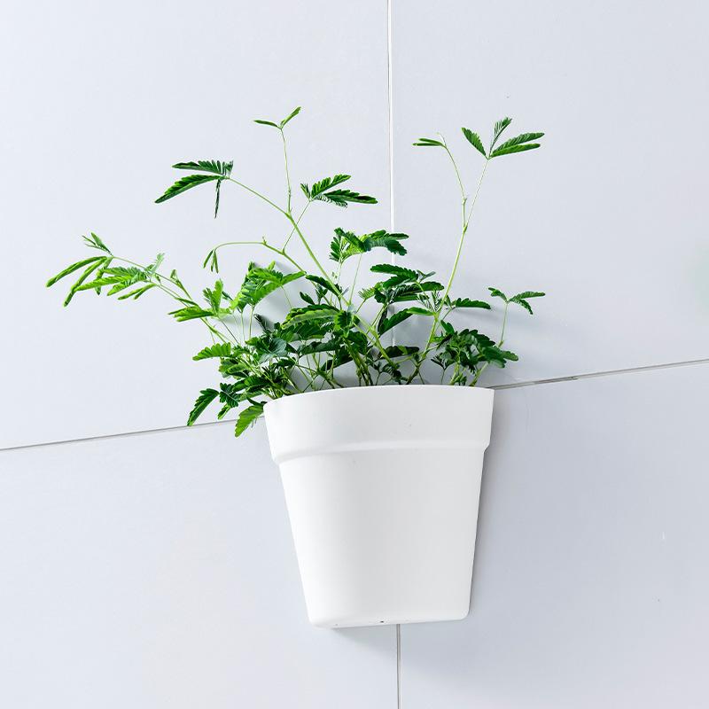 Veggmontert plastpotteplante blomsterpotte vegghengt planter halvsirkelformet liten blomsterpotte veggdekorasjon