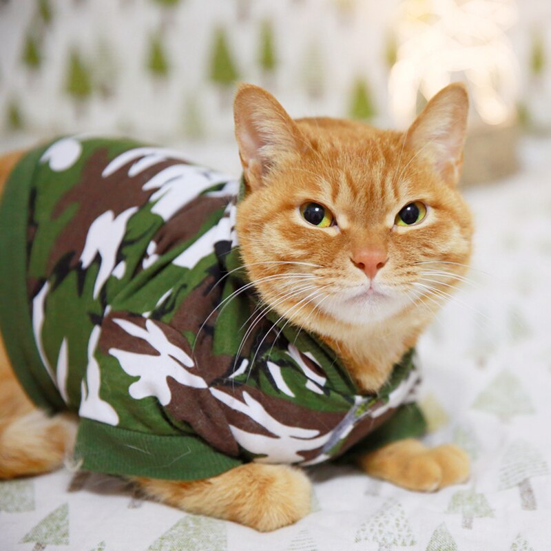 [Mpk Kat Dragen] Camouflage Coat Pet Dog Kleding Leuke Pet Katoen Warm Winter Hooded Kleding Voor Honden Sweatshirt jas