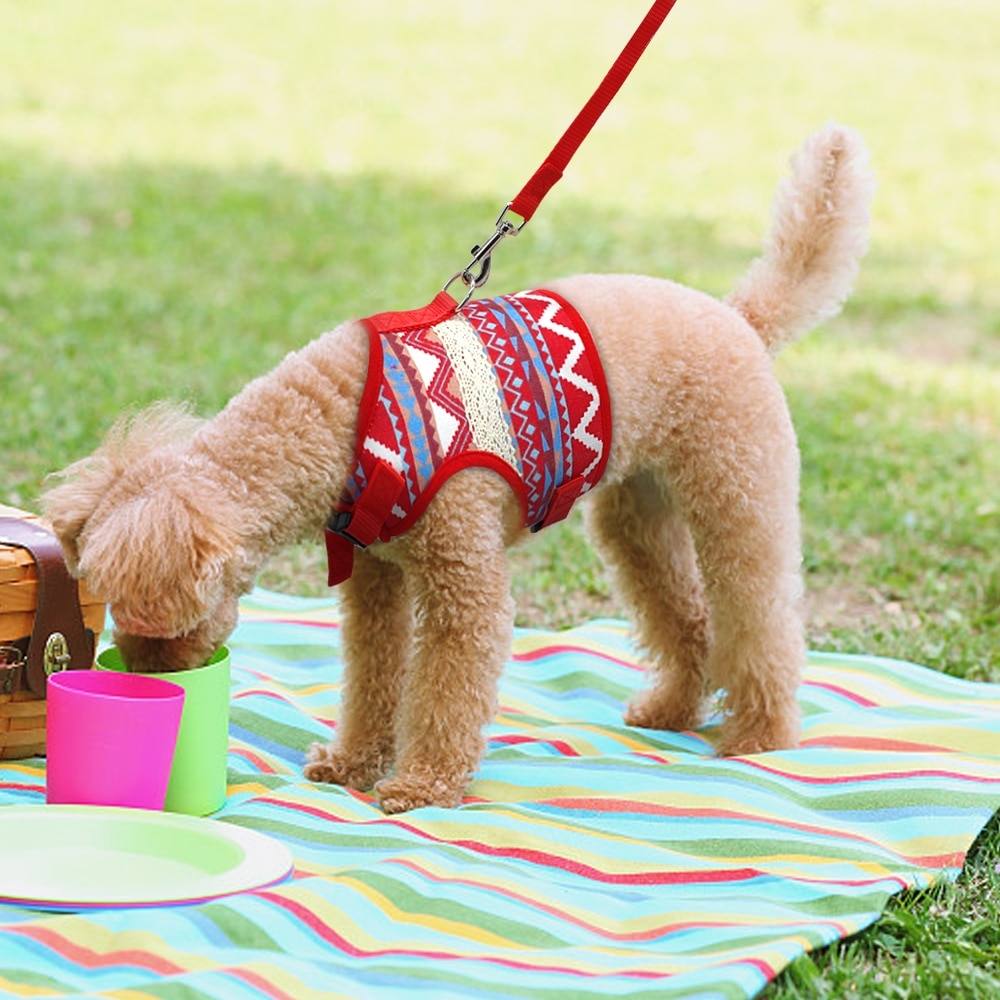 Adjustbale Harnas Hond Jassen Kleding Gewatteerde Vest Kat Kitten Harness en Leash voor Walking Escape Proof Voor Kleine Honden