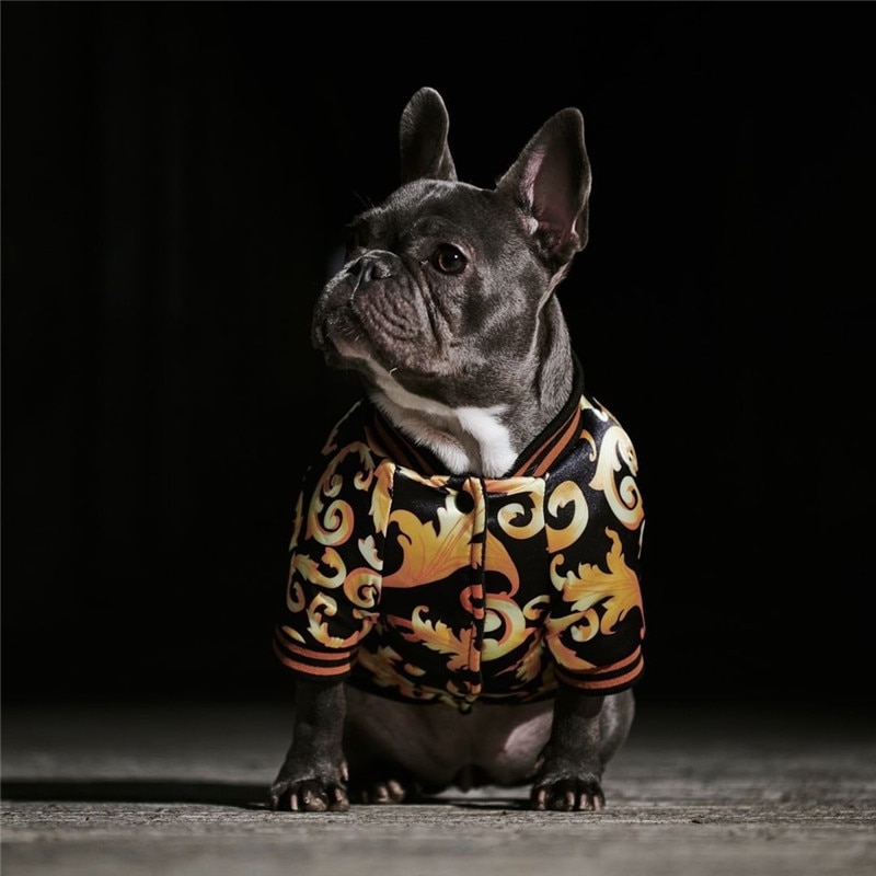 S-3XL ubrania dla psów buldog francuski kurtka dla małych psów płaszcz odzież dla zwierząt Puppy Winter Keep Warm Outdoor Yorkies sweter Products