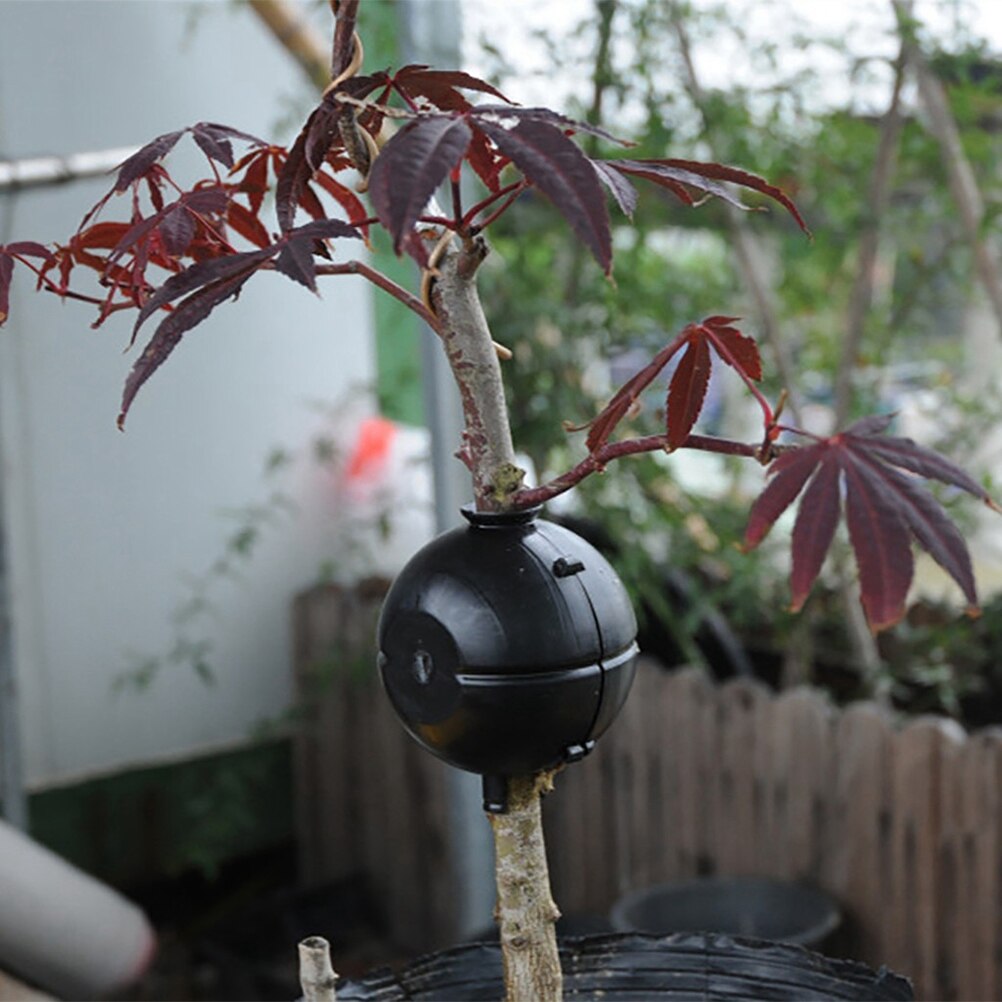 3Pcs Plant Rooting Device Plant Root Grafting Box High Pressure Propagation Grafting Effective Asexual Reproduction Equipment