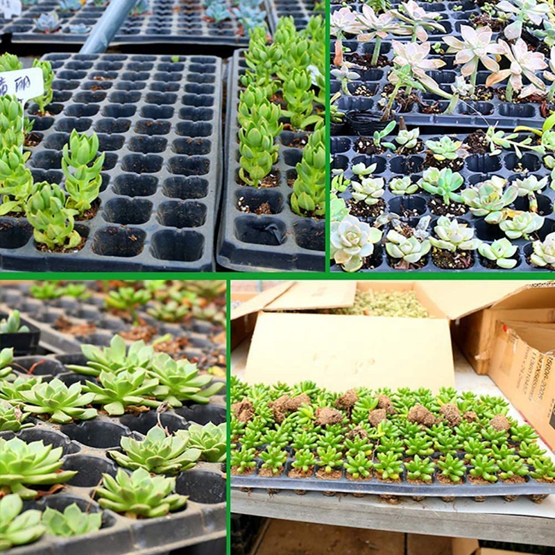 4Pcs Seedling Tray, 24 Cells Plastic Seedling Nursery Tray Flower Seed Propagators with Adjustable Vents for Greenhouse