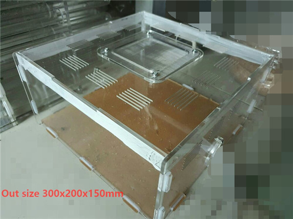 Mier Acryl Nest Boerderij Huisdier Insect Mierennesten Villa Huisdier Huis Verlengen Actieve Zone Transparante 6 Size Voor Student Wetenschappelijke klasse Gebruik