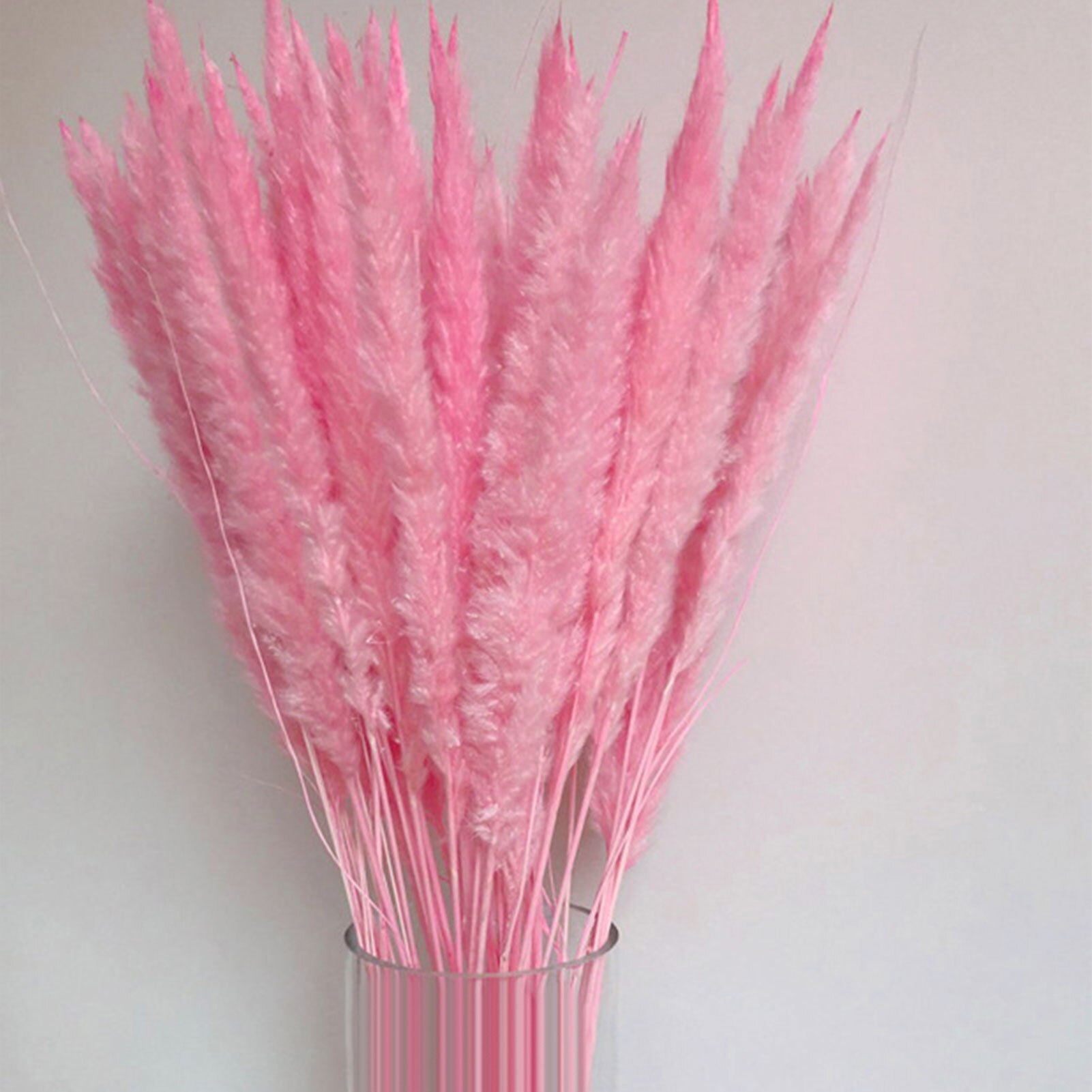 Roseaux séchés naturels de , 15 pièces, pour décoration de mariage, maison, DIY bricolage, 100% naturel, durée de conservation de plus d'un an
