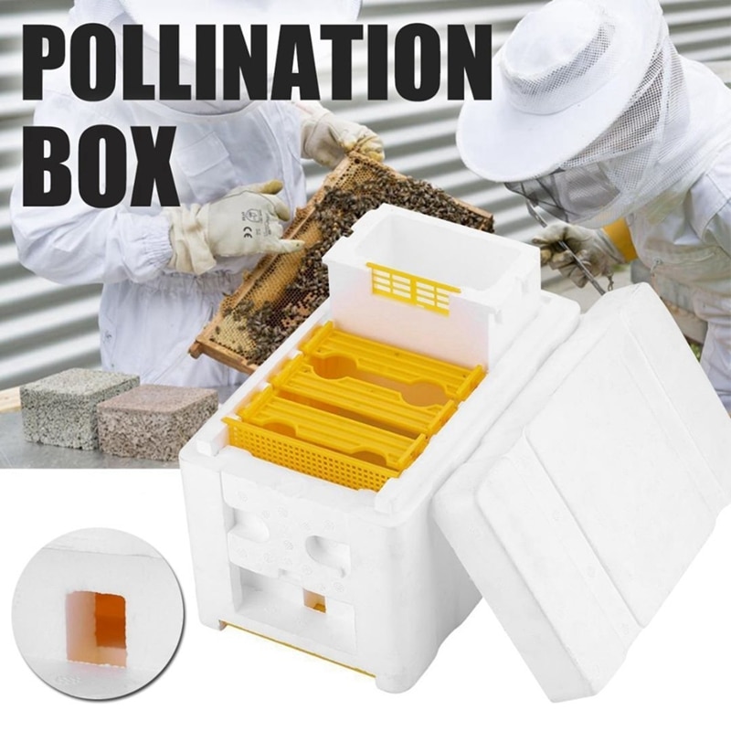 EPS Harvest Bee Hive Box Beekeeping King Box Pollination For Bee Pollination Beekeeping Tool Home Hive Box Beekeeping Equipment