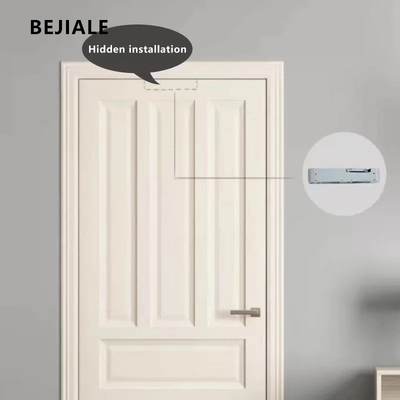 Resorte de puerta Invisible, amortiguador hidráulico silencioso, cierrapuertas automático, artefacto de cierre de tipo oculto para el hogar