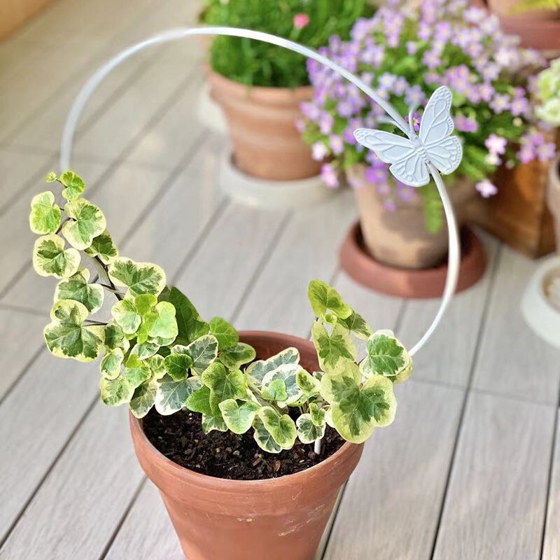 Metal Plant Trellis Support Wire Decorative Plants Climbing Holder Rack Metal Plant Trellis Support B99