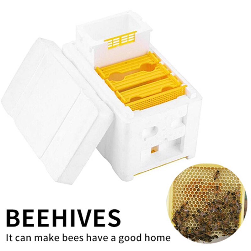 Beehive Beekeeping King Box Pollination Box Foam Frames Beekeeping Tool Kit