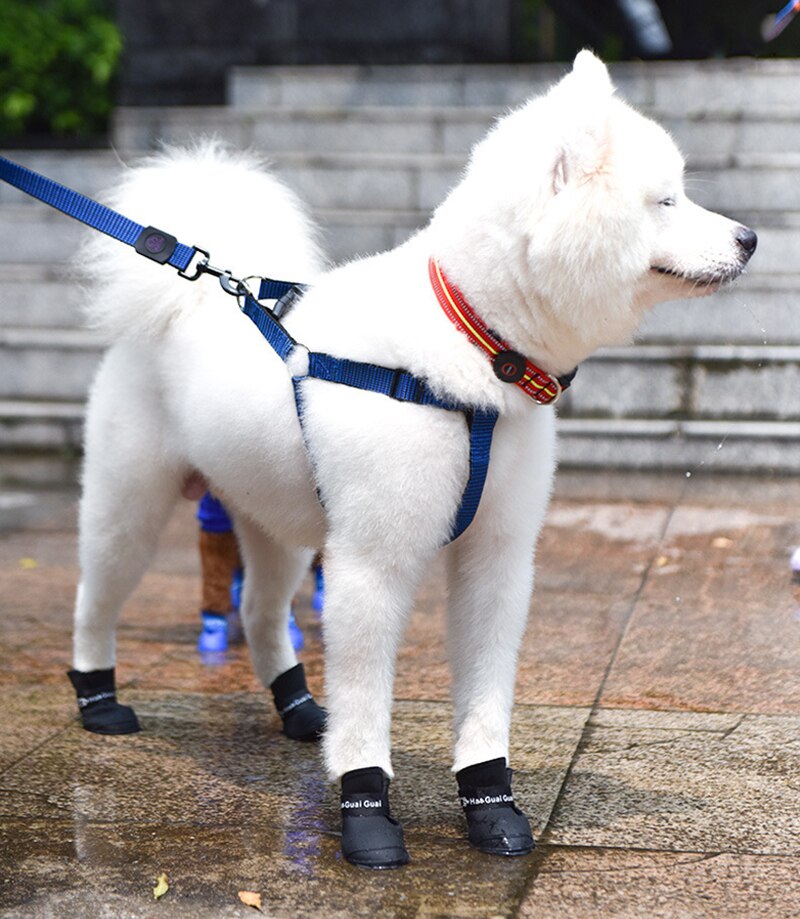 Hundesko silikone regnsko galoshes vinter sne sko til hund vandtætte støvler kæledyrsforsyning hundetilbehør: Sort / M