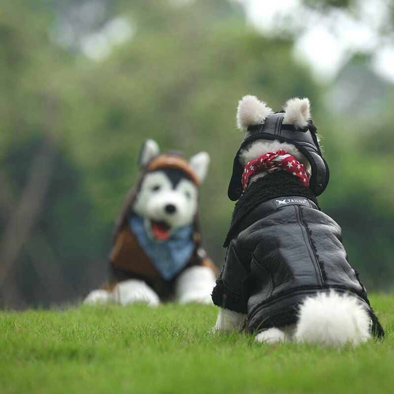 Vêtements pour animaux de compagnie en cuir | En cuir rétro, pour chiens, manteau, vêtements Cool comme un garçon Cool pour petits chiens, Teddy français