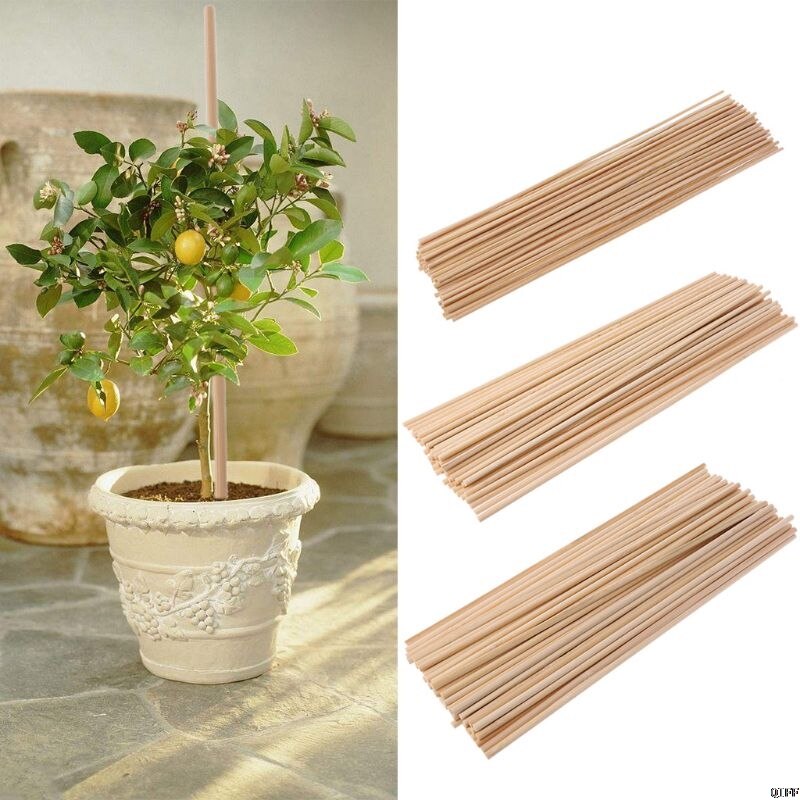 50 Wooden Plant Grow Support Bamboo Plant Sticks Garden Canes Plants Flower Support Stick Cane