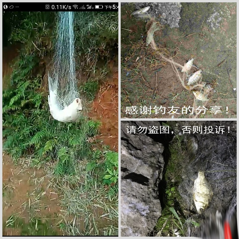 winter ice fishing Net Trap Mesh Luminous bead Netting Fish net Tackle Copper Shoal Cast Gill Nets For Fishing Traps