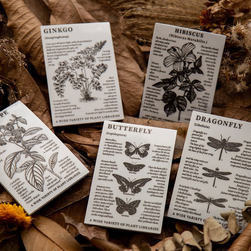 Vintage plante fleurs papillon libellule décoration timbre éponge caoutchouc timbres pour Scrapbooking papeterie artisanat Standard timbre