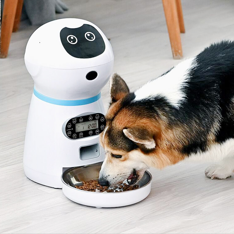 Stor kapacitet kæledyr automatisk foderautomat smart stemmeoptager app kontrol timer fodring kat hundemad dispenser med wifi kæledyr skål