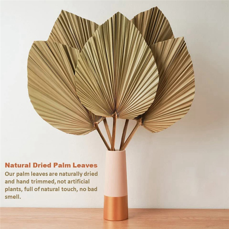 4 Stück natürliche getrocknete Palmblätter sind perfekt für Palme blatt Dekor, Boho Dekor, Wohnkultur, Hochzeit