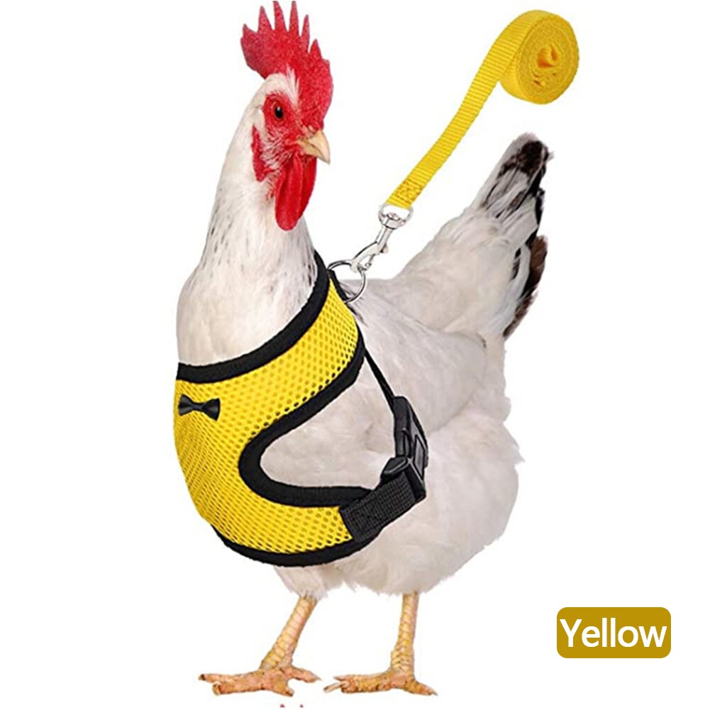 Breathable Mesh Chicken Duck Vest Leashes Poultry Hen Pet Harness With Matching Training for Walking Duck Goose Hen Rooster: Yellow-S