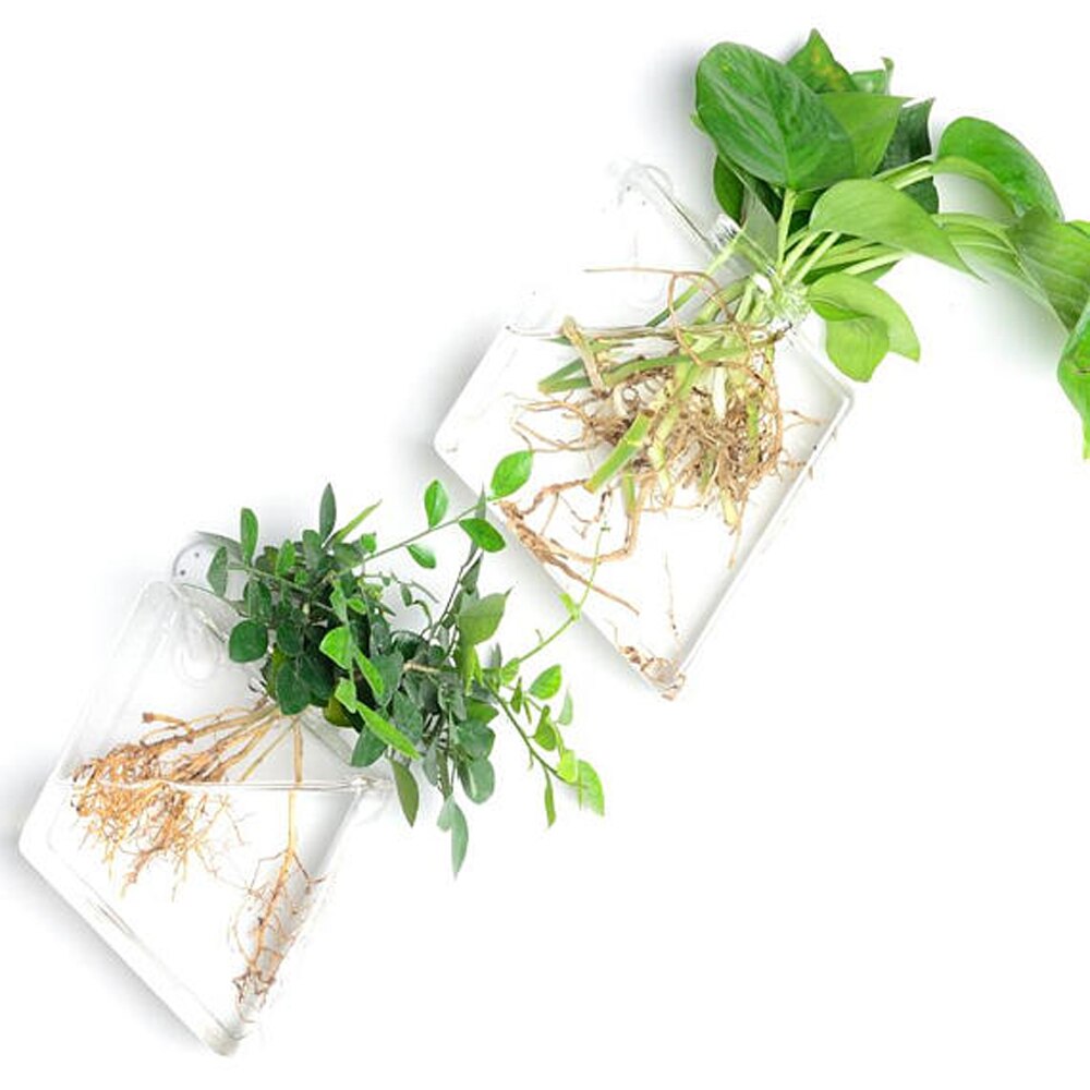 Neue Transparente Glas Wand Vase Wand Hängen Pflanzen Terrarium Glas Pflanzer Blume Halter Vase Kreative Garten Hof Wohnkultur