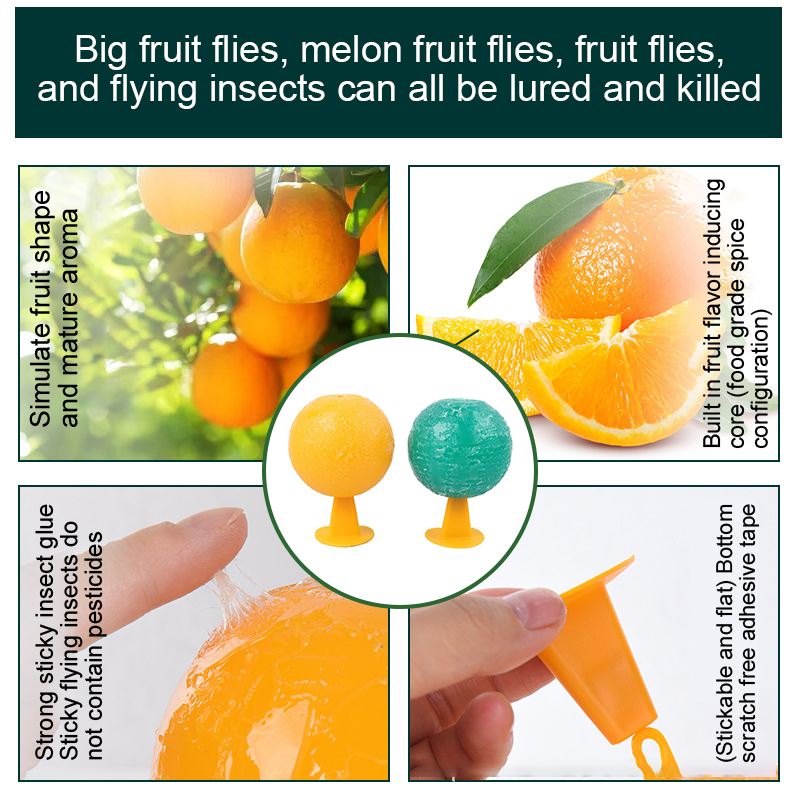 Fruit Fly Traps Flying Insects Trap Ball Fruit Flavor Trap Kitchen Home Sticky Trap For Indoor Outdoor Mosquito Collector