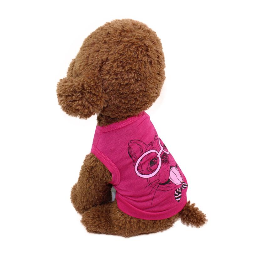 Klassieke Hond Kleding Puppy Pet Kat Kleding Trui Jas Jas Winter Mode Zachte Voor Kleine Honden Chihuahua: hot pink / S
