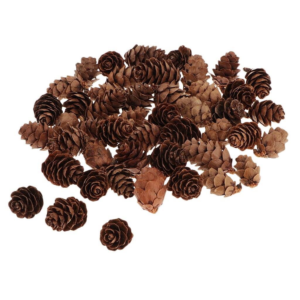 60 Pieces Natural Pine Cones for Christmas Fall Thanksgiving Harvest Autumn Party Craft Accessory Decorations
