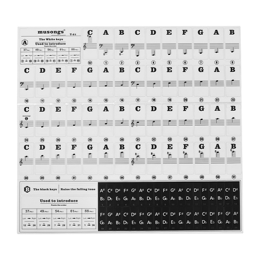 Autocollants Piano 88 Touches - Apprentissage Notes - Multi-couleurs - Faciles à Retirer