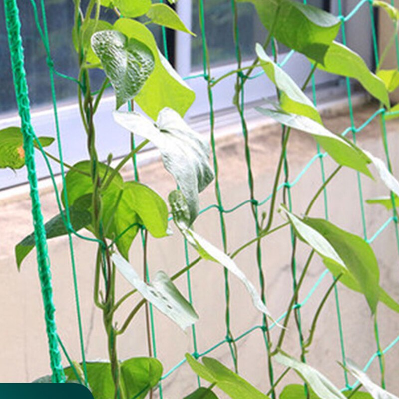 Garden Plants Climbing Net Heavy-Duty Nylon Net Morning Glory Flower Vine Netting Support Vine Grow Net Holder Trellis Netting