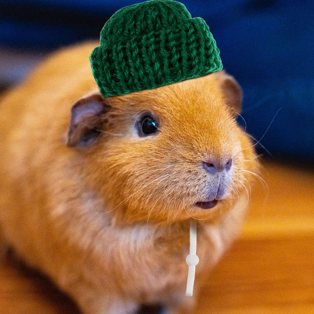 2 stk hamsterhat og marsvinhat lille dyredragt jakkesæt cosplay til rotter sugar glider chinchilla ilder pindsvin kæledyrshatte