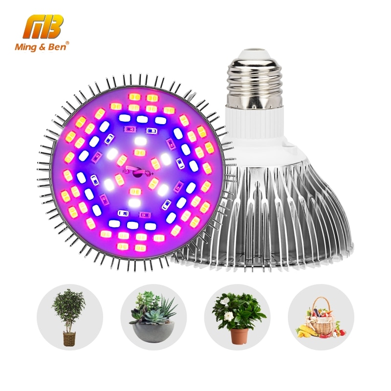 Lampe horticole de croissance UV/IR, 5/10/30/50/80W, spectre complet, pour culture hydroponique de plantes et légumes